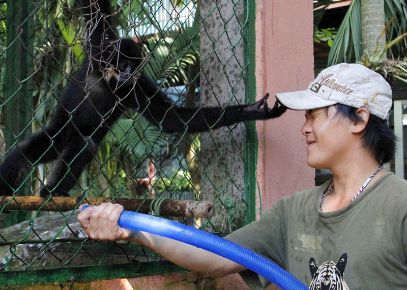 Mai am cua nhung con thu tat nguyen o Sai Gon hinh anh