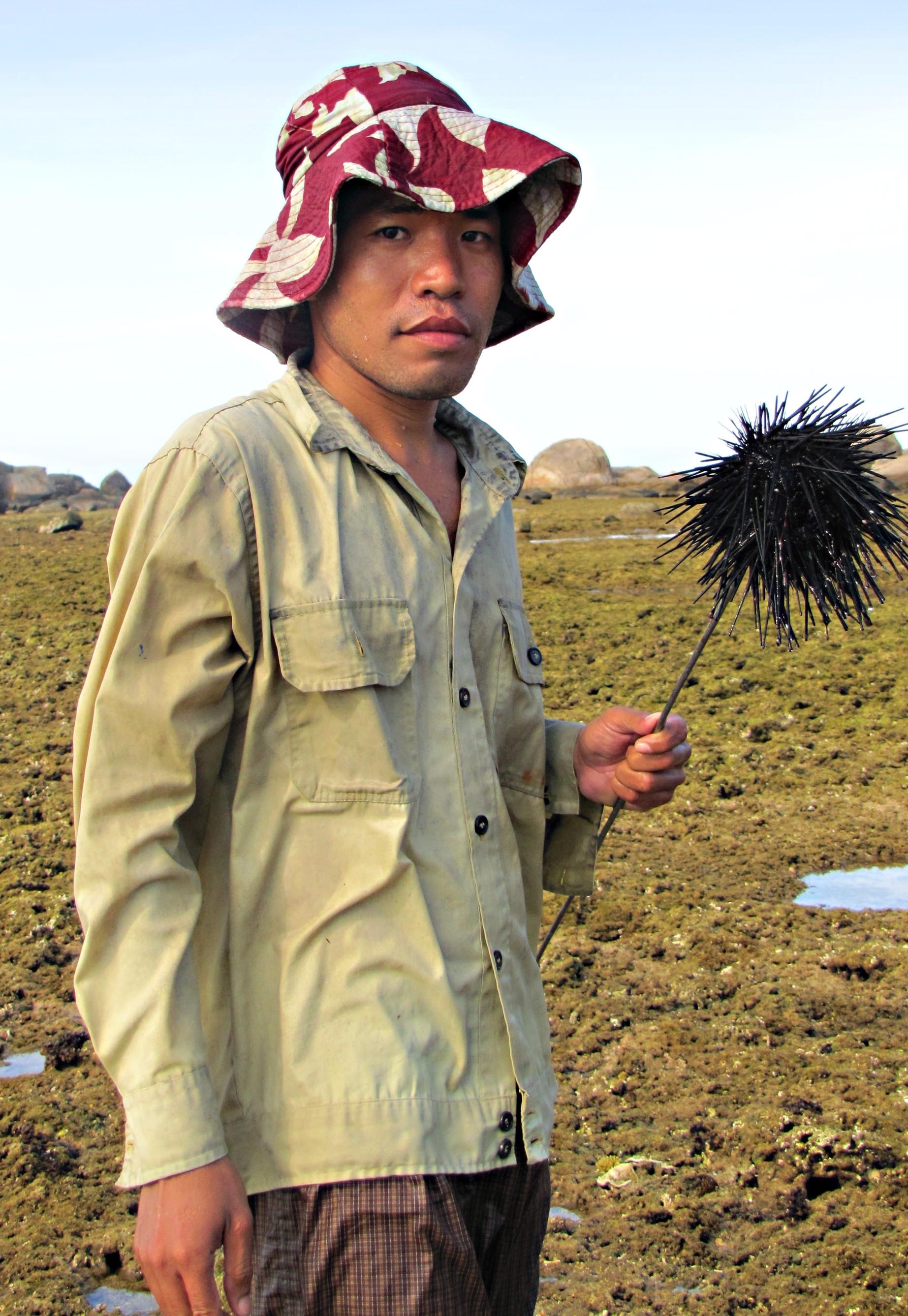 Cầu gai của vùng này thường “mập mạp” hơn những nơi khác. Với loại hài sản đặc biệt này du khách cở thể dùng sống với nước chấm pha từ mắm cùng chanh ớt hoặc nấu cháo.