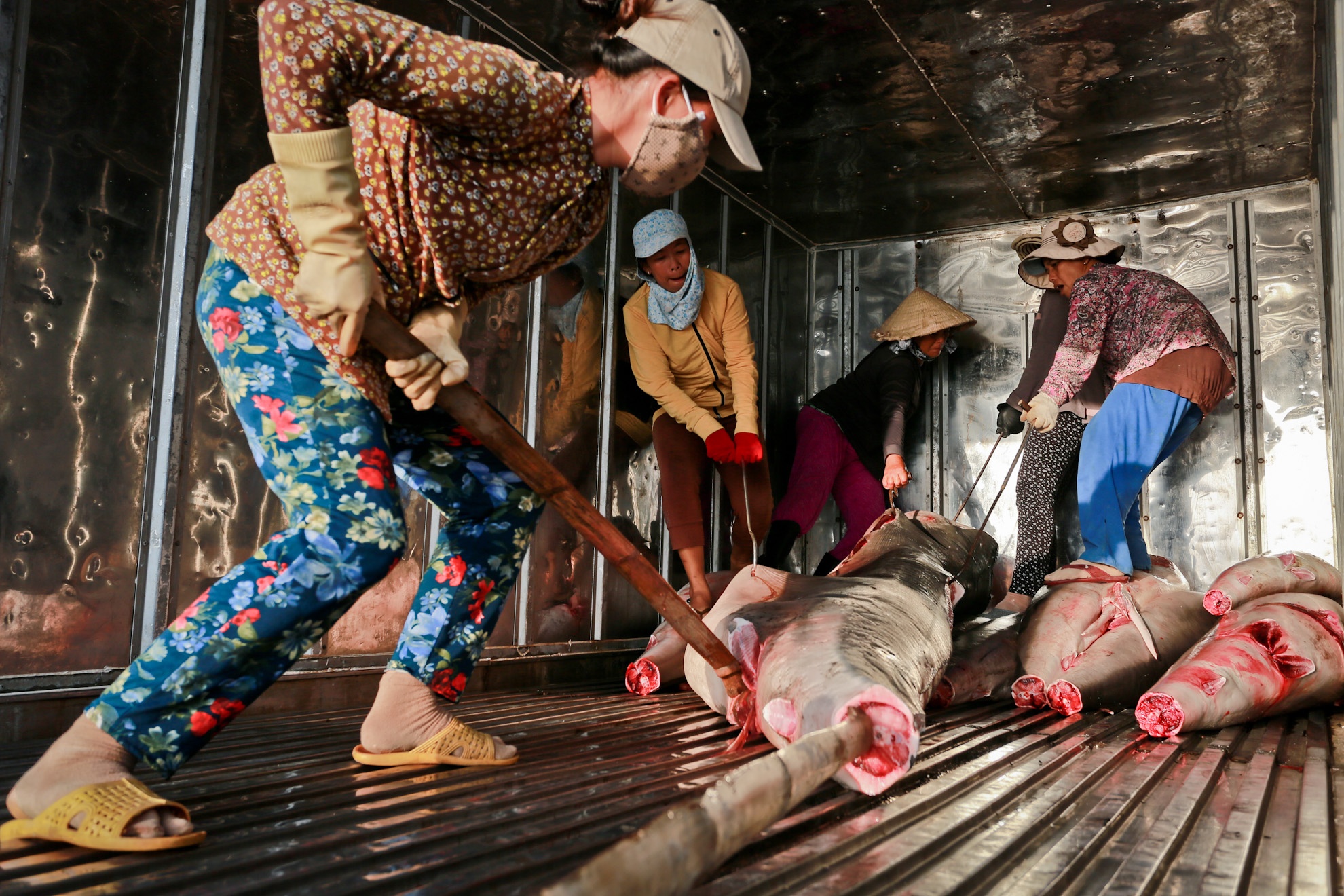 So với công việc khiêng cá trên bờ, những chị em kéo cá lên xe tải đông lạnh thường vất vả hơn, và tiền công vì thế cũng được bồi dưỡng hơn từ 10.000 – 20.000 đồng mỗi người