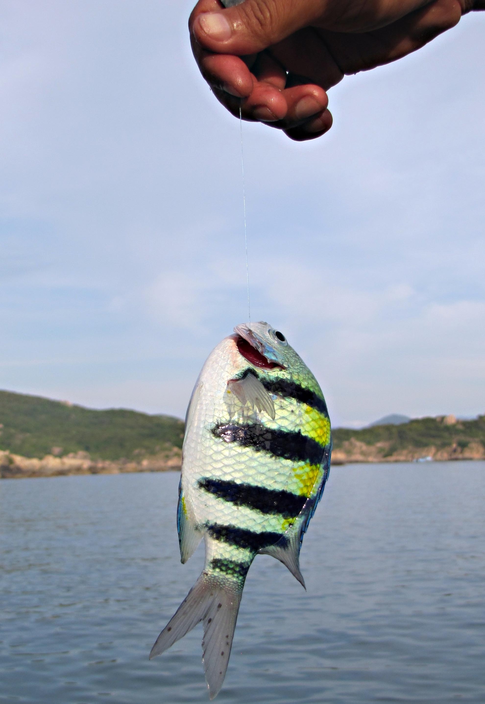  Cá tươi vừa câu được chế biến với hương vị đậm đà sẽ kích thích khẩu vị khó tính nhất của bạn cũng như bổ sung năng lượng cho một ngày khám phá mới.