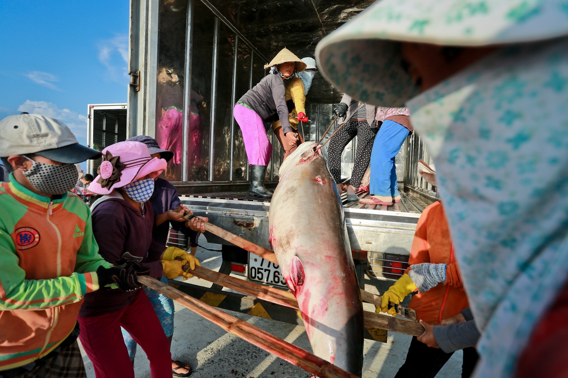 Tuy gọi là một đội nhưng không hề có đội trưởng. Tiền công của đội nhận được sẽ chia đều cho mỗi chị em, từ 50.000 đồng trở lên tùy theo chuyến biển no hoặc đói 