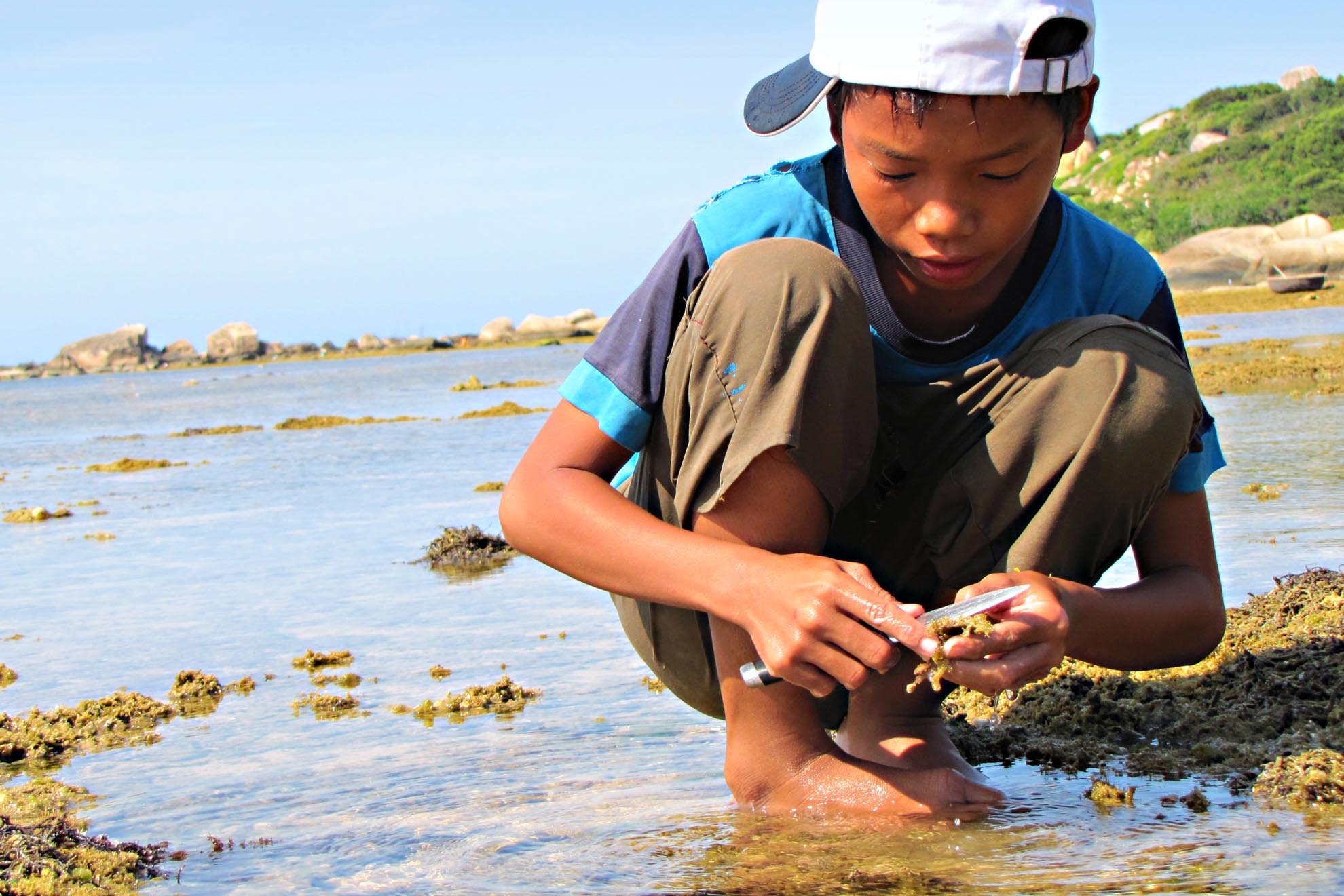 Cu Đen là người dân của làng chài Đầm Môn gần đó, em thường phụ gia đình hái rau câu về để sáng mẹ đem ra chợ bán.