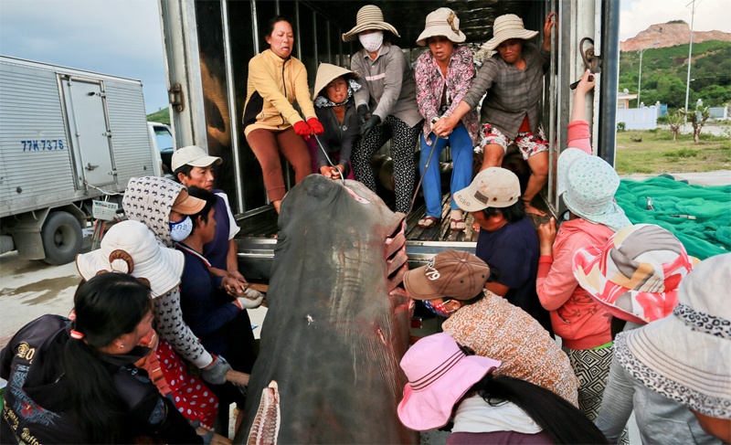 Doi nu chuyen khieng ca map tu Hoang Sa, Truong Sa hinh anh