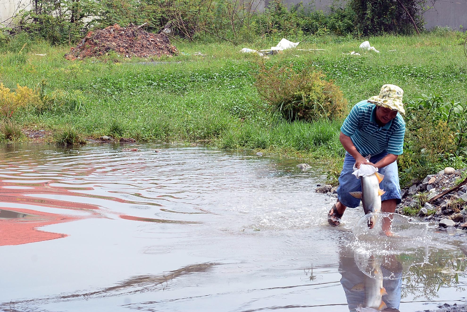 Hình ảnh hài hước khi người đàn ông mang cá về nhà suýt bị sổng mất khi tuột tay trên đường.