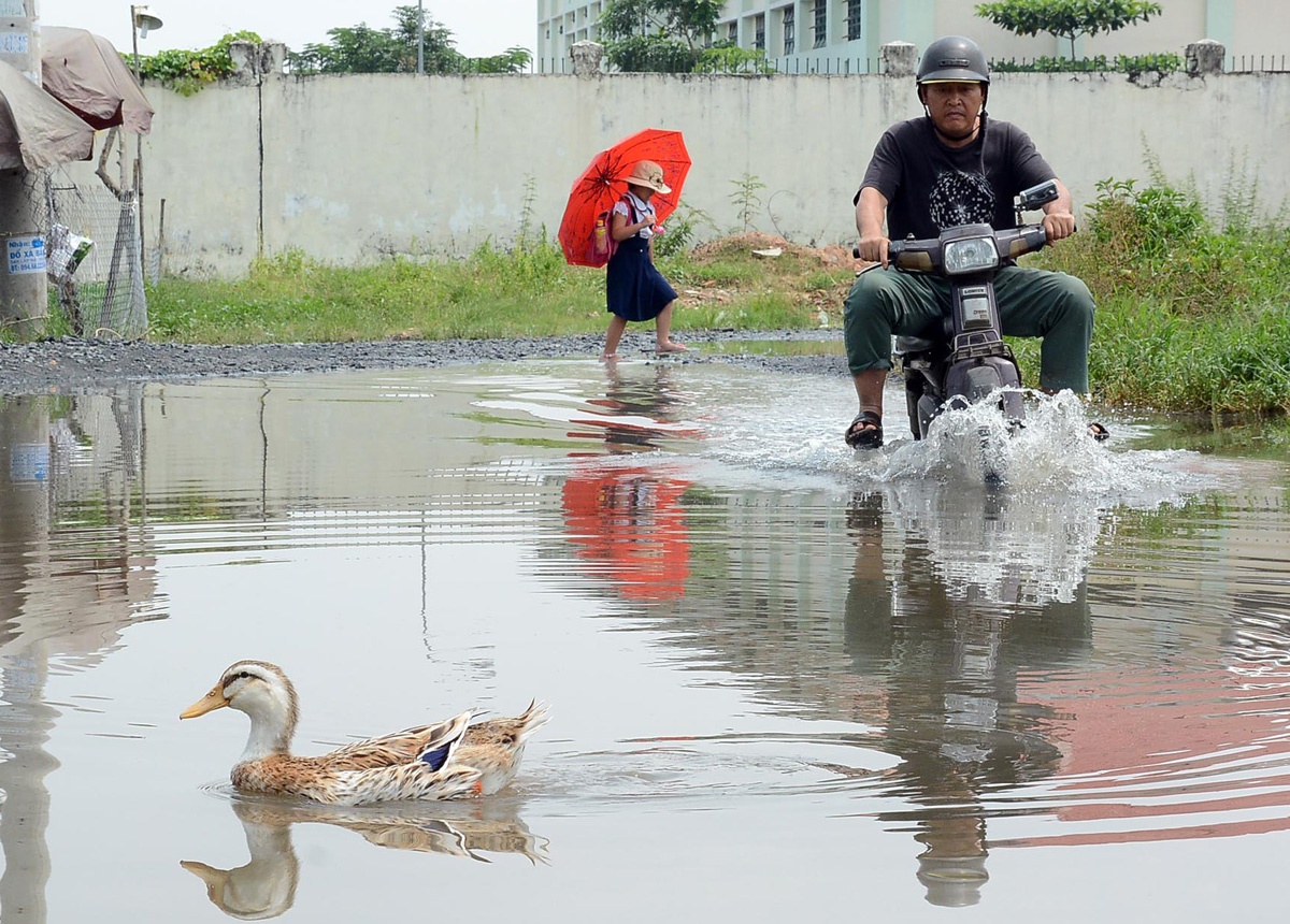 Duong bien thanh ao cho vit boi loi o Sai Gon hinh anh