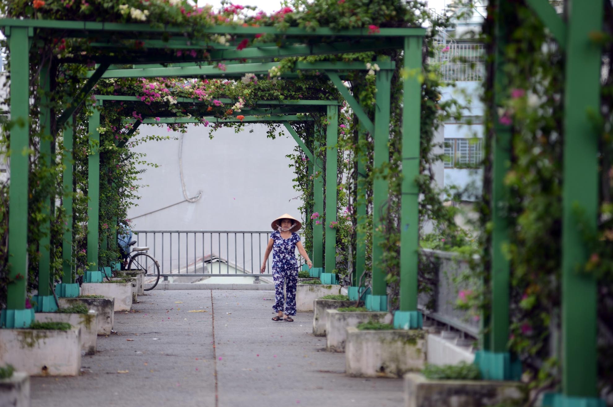 Chiều lại, nhiều người già thường lên đây để tập thể dục vì không khí trong lành, thoáng mát.