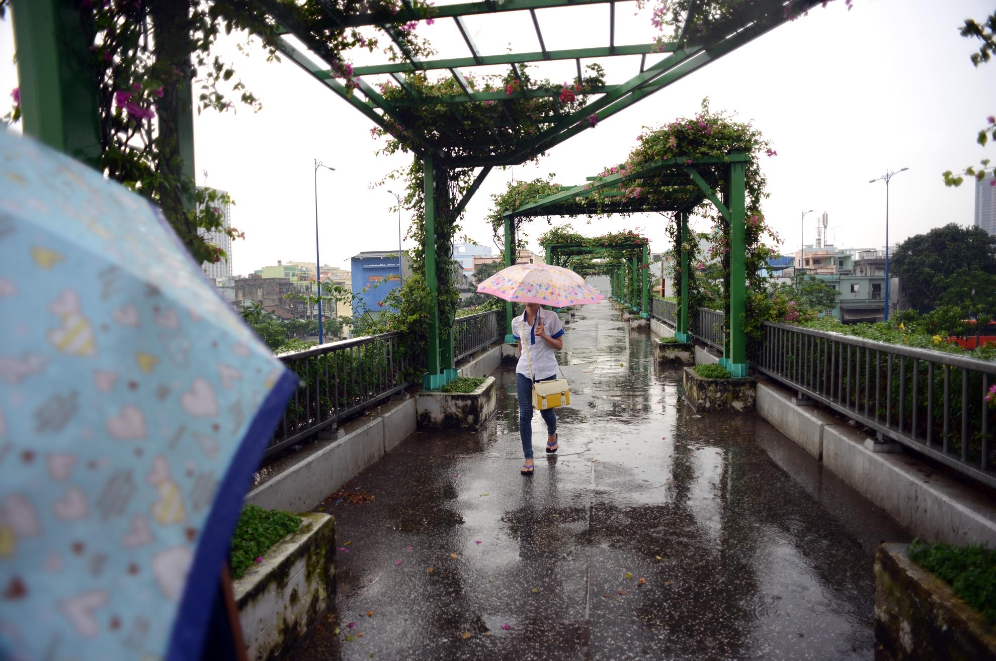 Ngoài ra, nhiều đối tượng nghiện ngập thường tụ tập vào ban đêm ở trên cầu để chích hút.