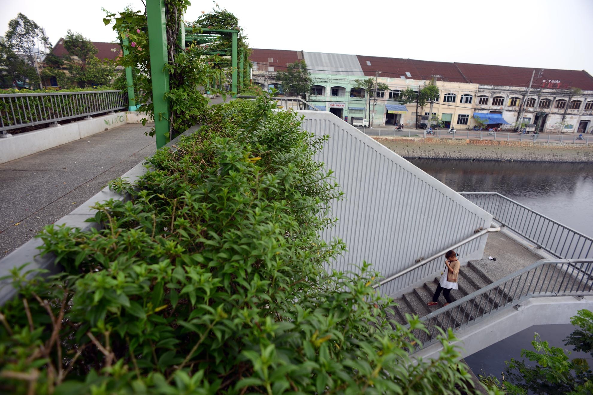 Hoa được trồng chủ yếu là những loài ít cần phải chăm sóc, tưới nước như hoa giấy, hoa Chuông Vàng…