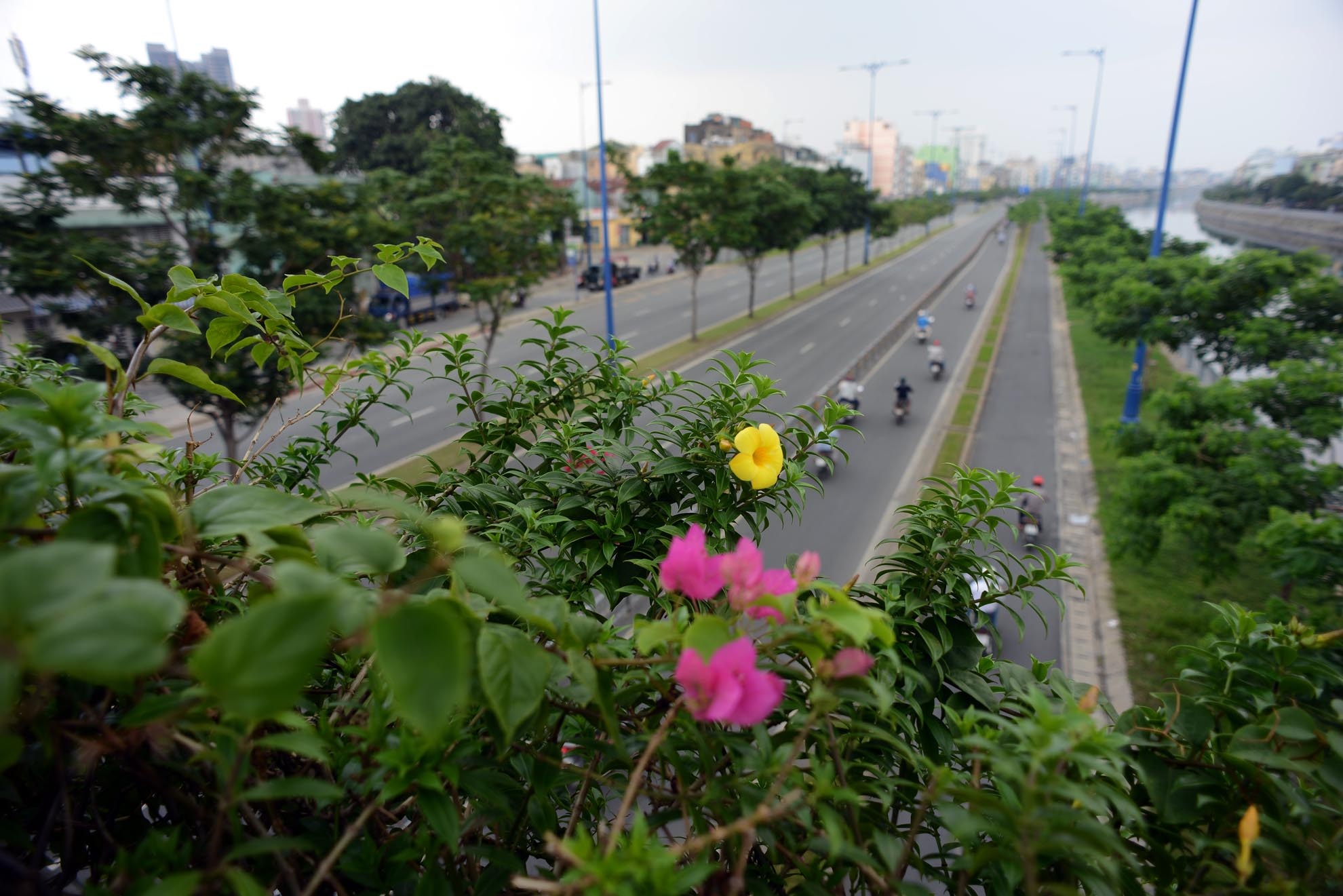 Những bông hoa đầy màu sắc tạo thêm vẻ đẹp cho con đường được mệnh danh là đẹp nhất Sài Gòn.
