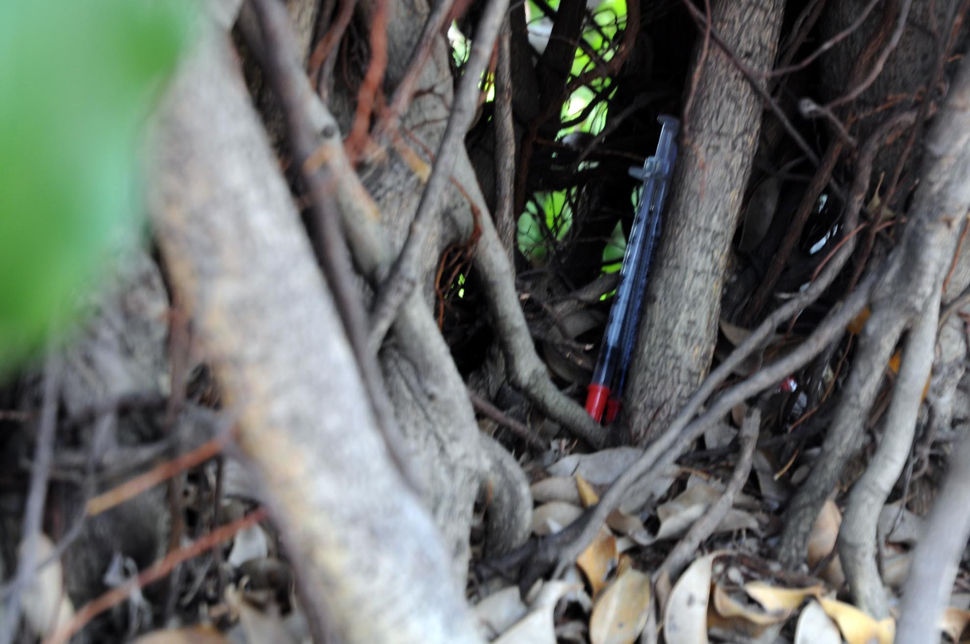 Hết thuốc, người nghiện vứt kim tiêm lại gốc cây.