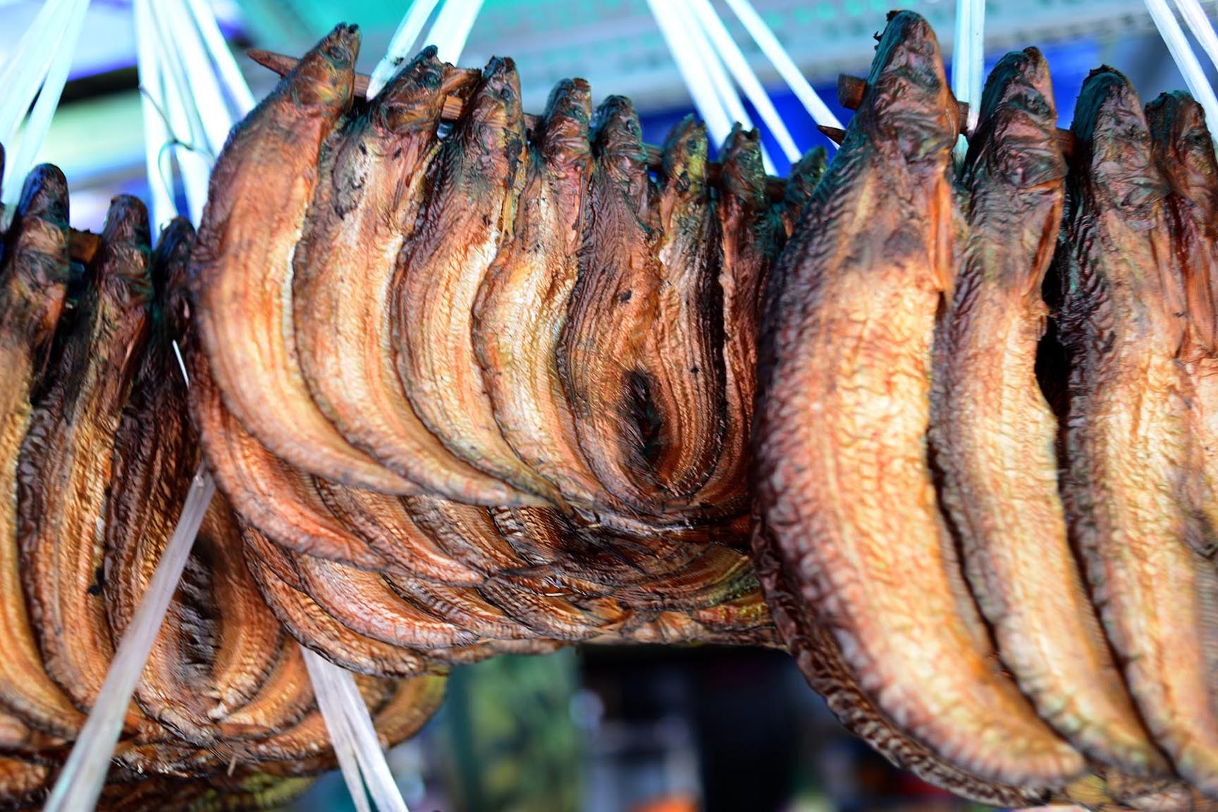 Cá trèn sấy ép dính nhau thành một mảng to, da sáng bóng, thịt đỏ au, được treo thành một hàng dài, có giá từ 200 đến 550 ngàn đồng/kg từ theo chất lượng.