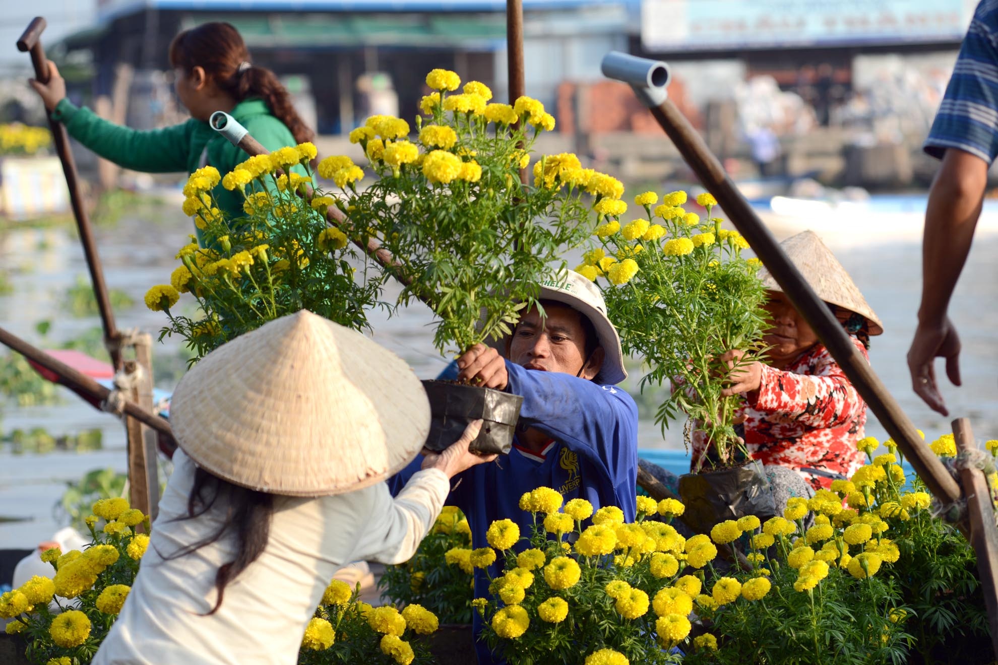Cho Tet mien Tay bong benh song nuoc hinh anh