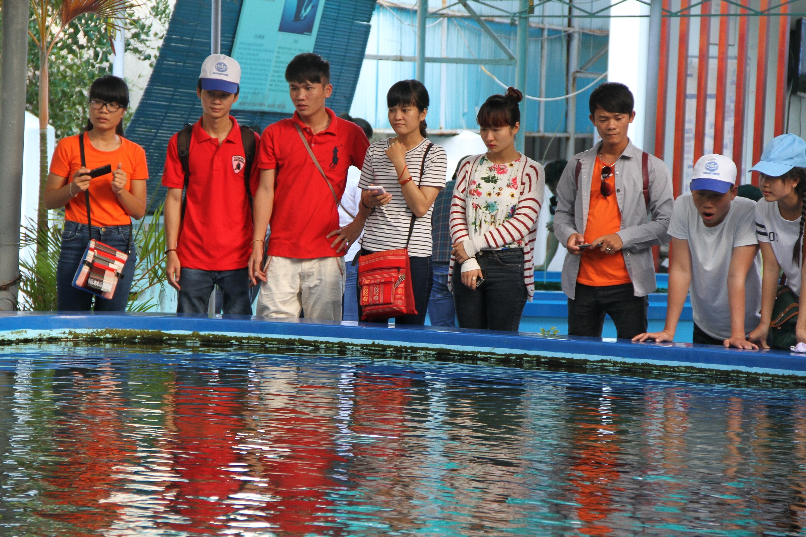 Giam gia ve tau cho hanh khach anh 1