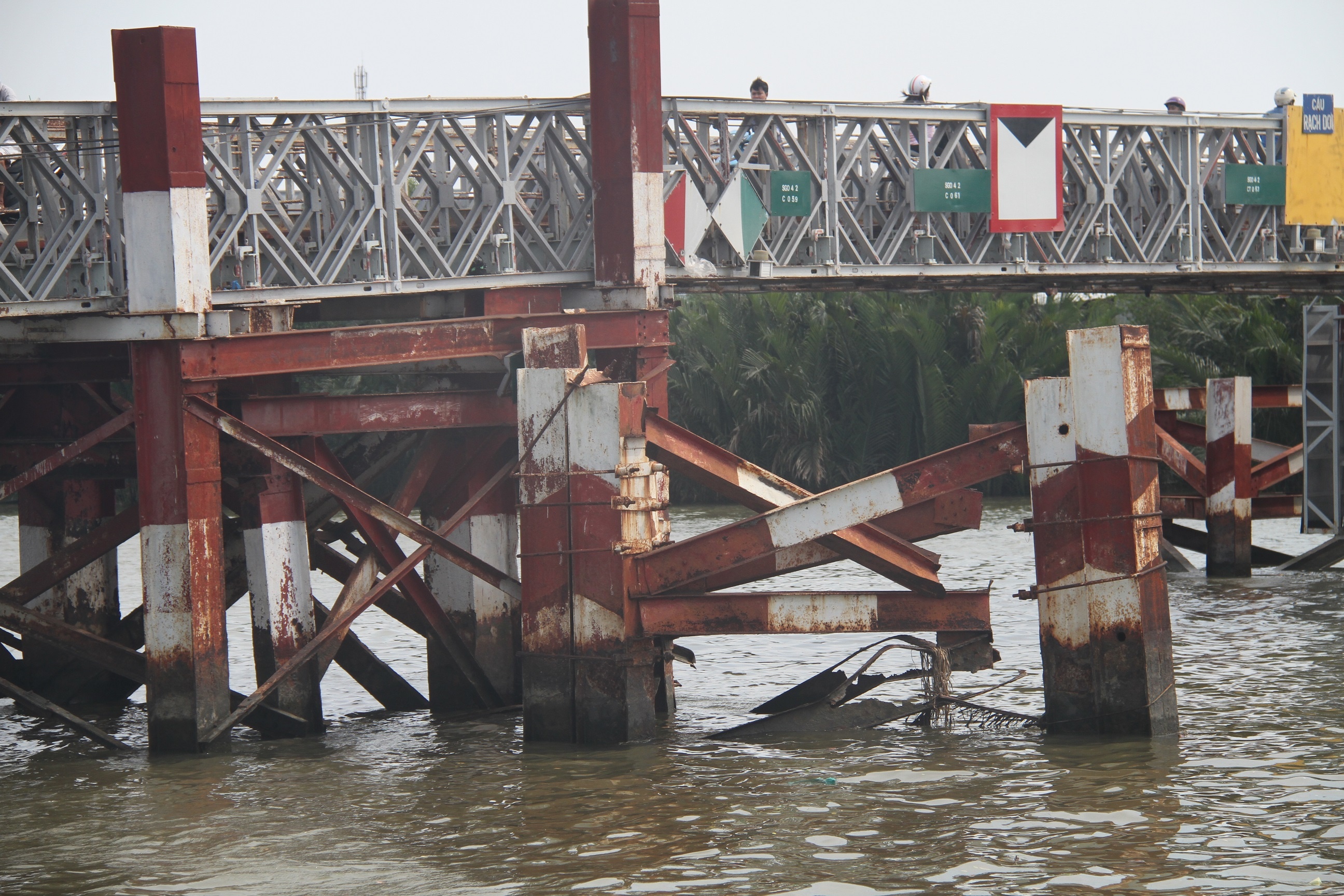 Dan keu cuu vi nhung cay cau sap sap anh 8