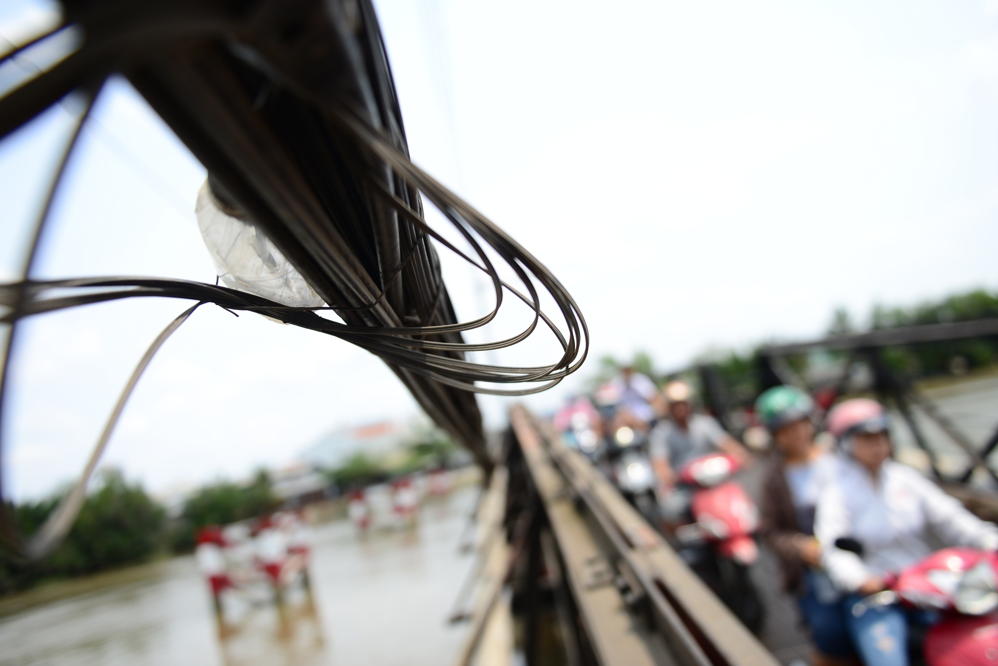 Dan keu cuu vi nhung cay cau sap sap anh 4