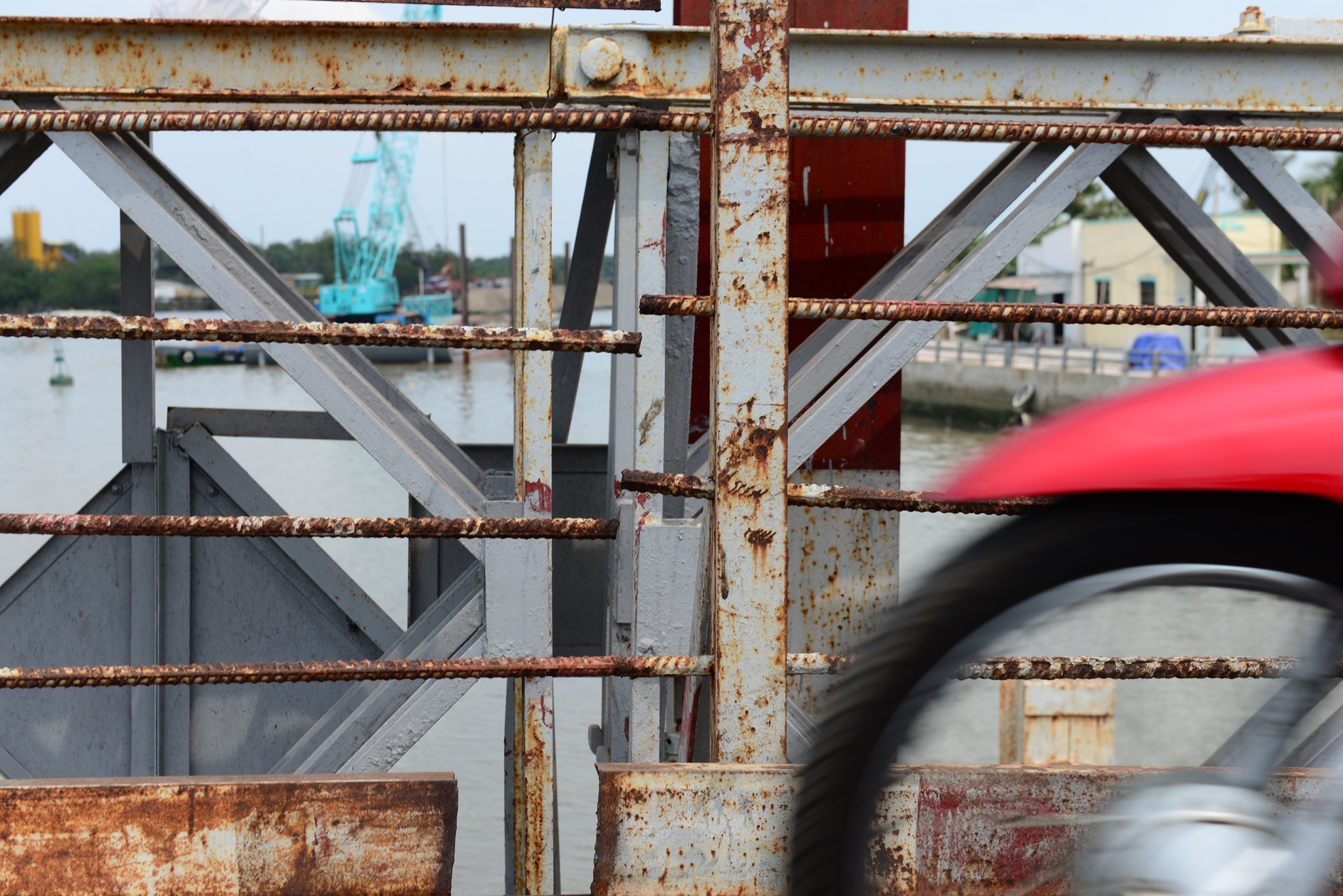 Dan keu cuu vi nhung cay cau sap sap anh 12