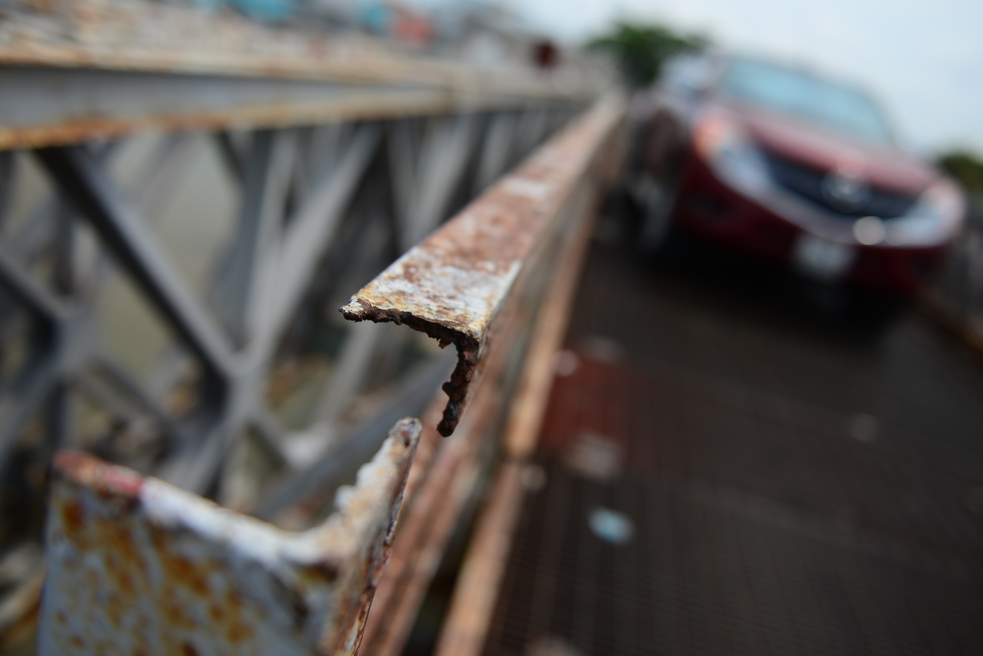 Dan keu cuu vi nhung cay cau sap sap anh 11