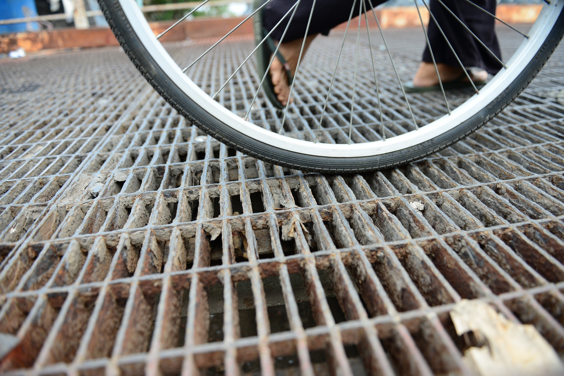 Dan keu cuu vi nhung cay cau sap sap anh 7