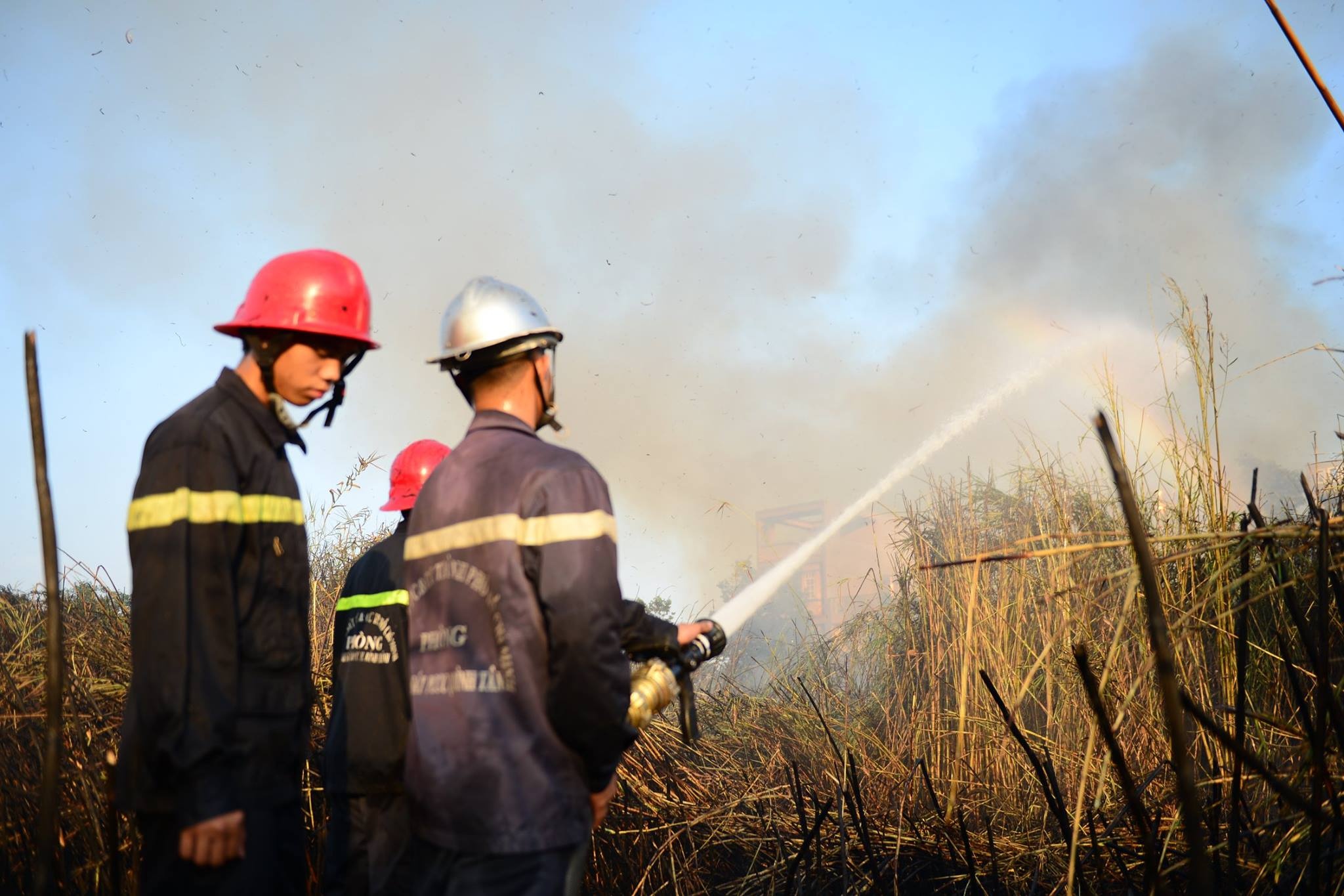 Chay lon canh khu dan cu o Sai Gon hinh anh