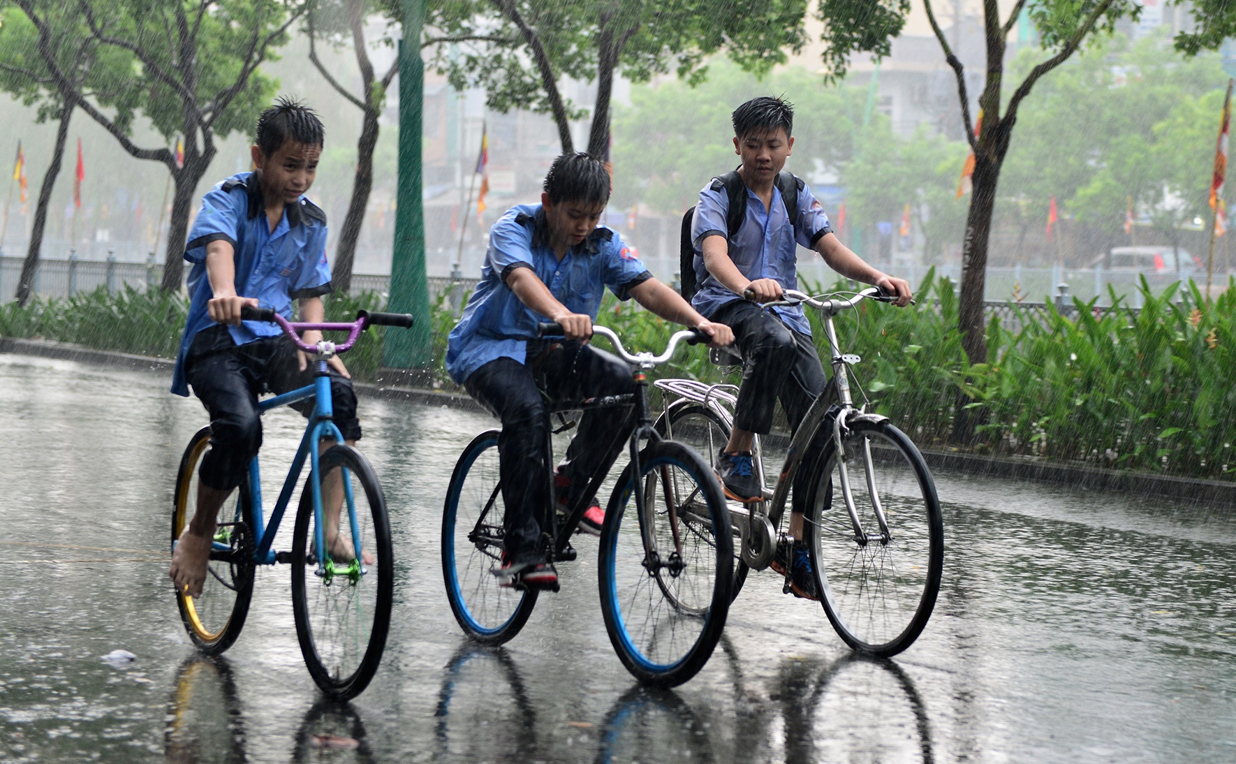 Sam chop, mua lon tren dien rong o Sai Gon hinh anh