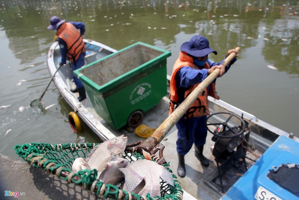 nguyen nhan ca chet o Sai Gon anh 1