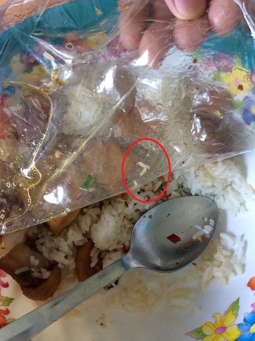 Cơm có giòi  ảnh 1 Com co gioi anh 1