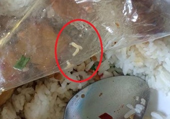 Com co gioi, sinh vien moc hong non oi hinh anh