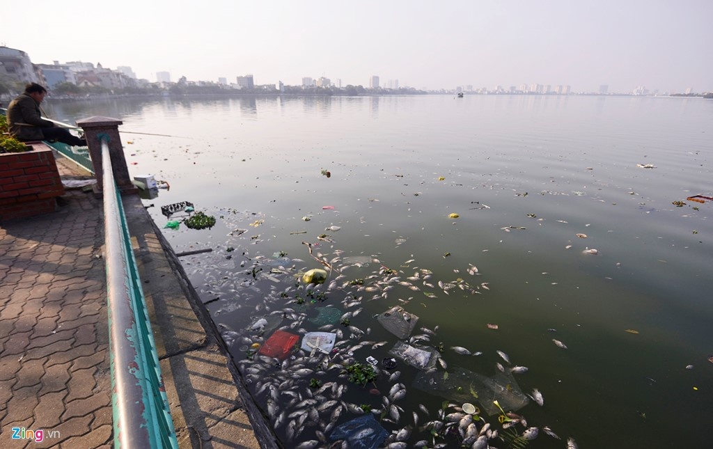 Nạo vét kênh gây ô nhiễm ảnh 1 Nao vet kenh gay o nhiem anh 1