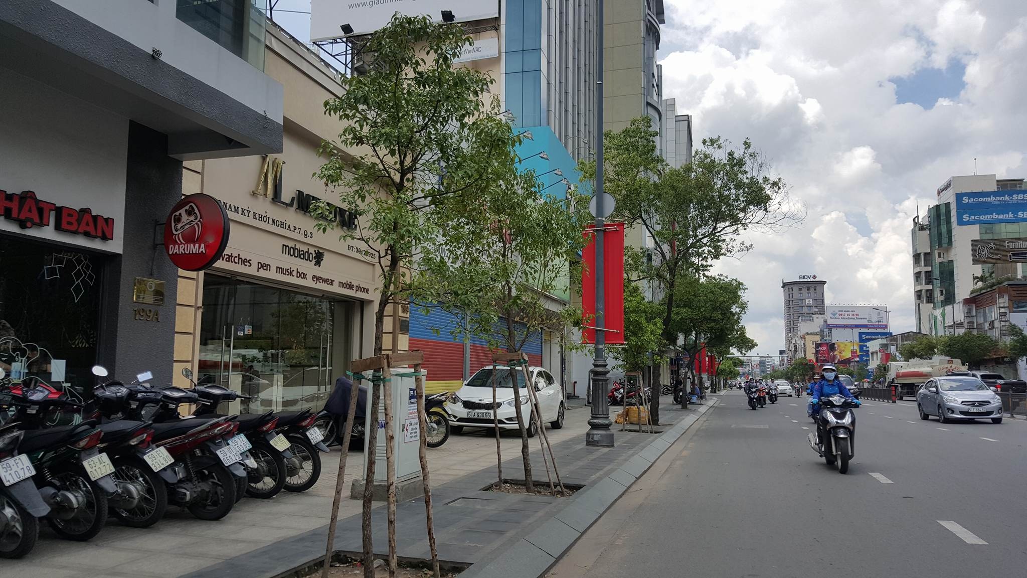 Thay cây long não cửa ngõ sân bay ảnh 1 Thay cay long nao cua ngo san bay anh 1