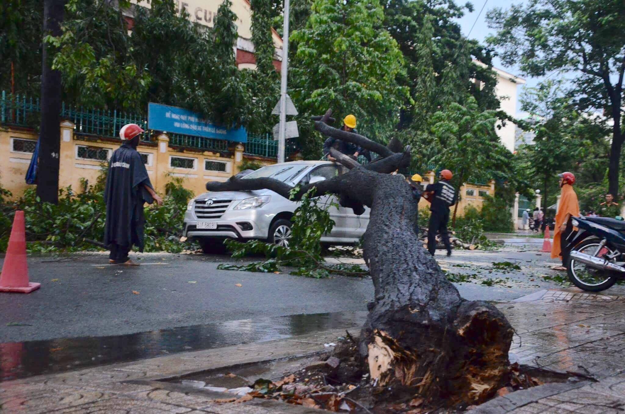 Sai Gon lai mua, cay nga de oto hinh anh