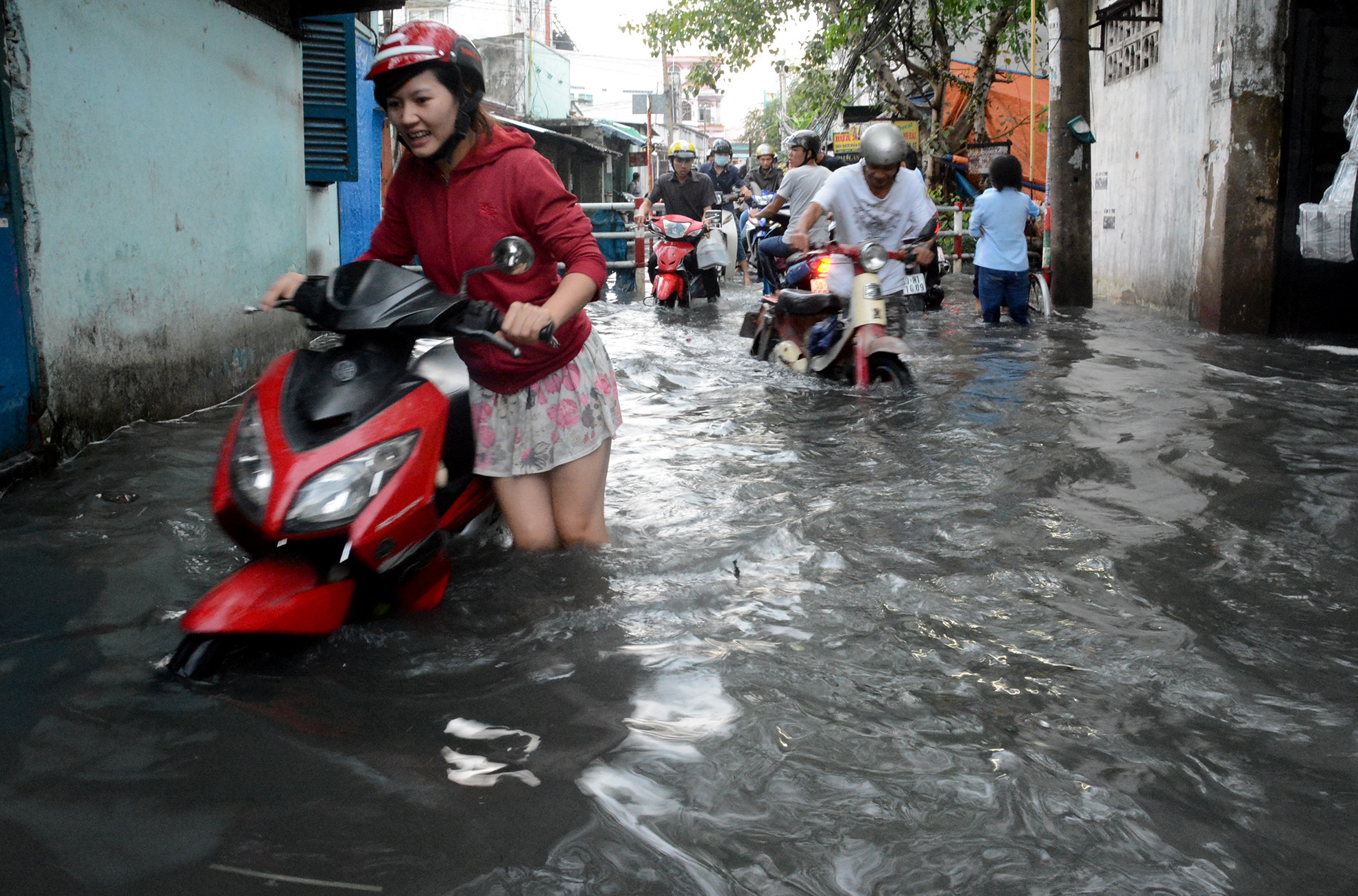 Trieu cuong gay ngap anh 1