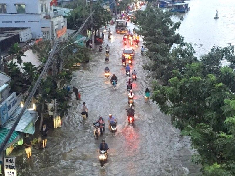 Sai Gon mua to duong ngap anh 1