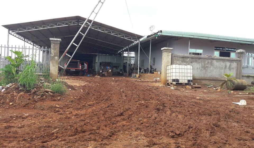 Chum anh hien truong vu ban sung anh 5