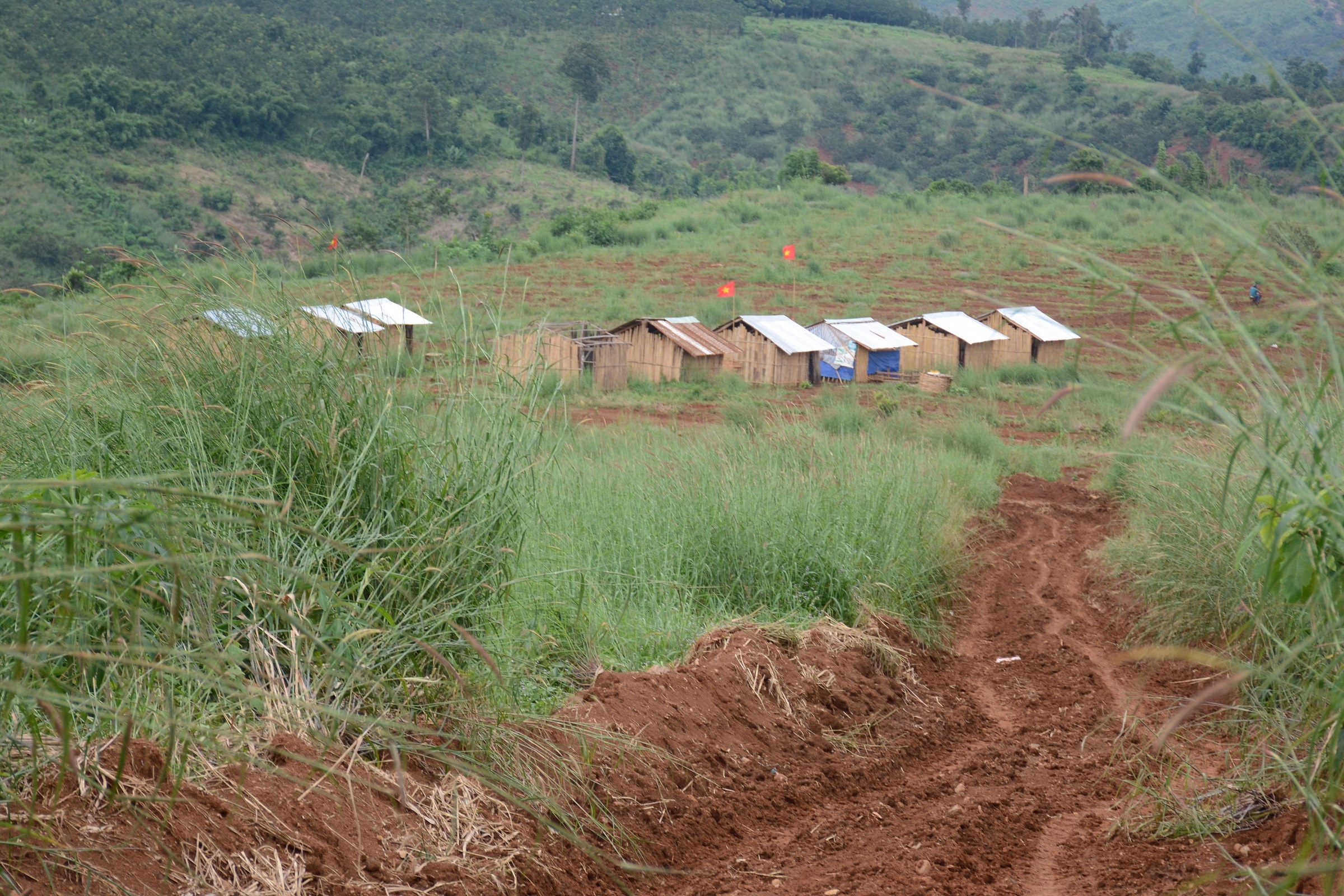 Chum anh hien truong vu ban sung anh 2