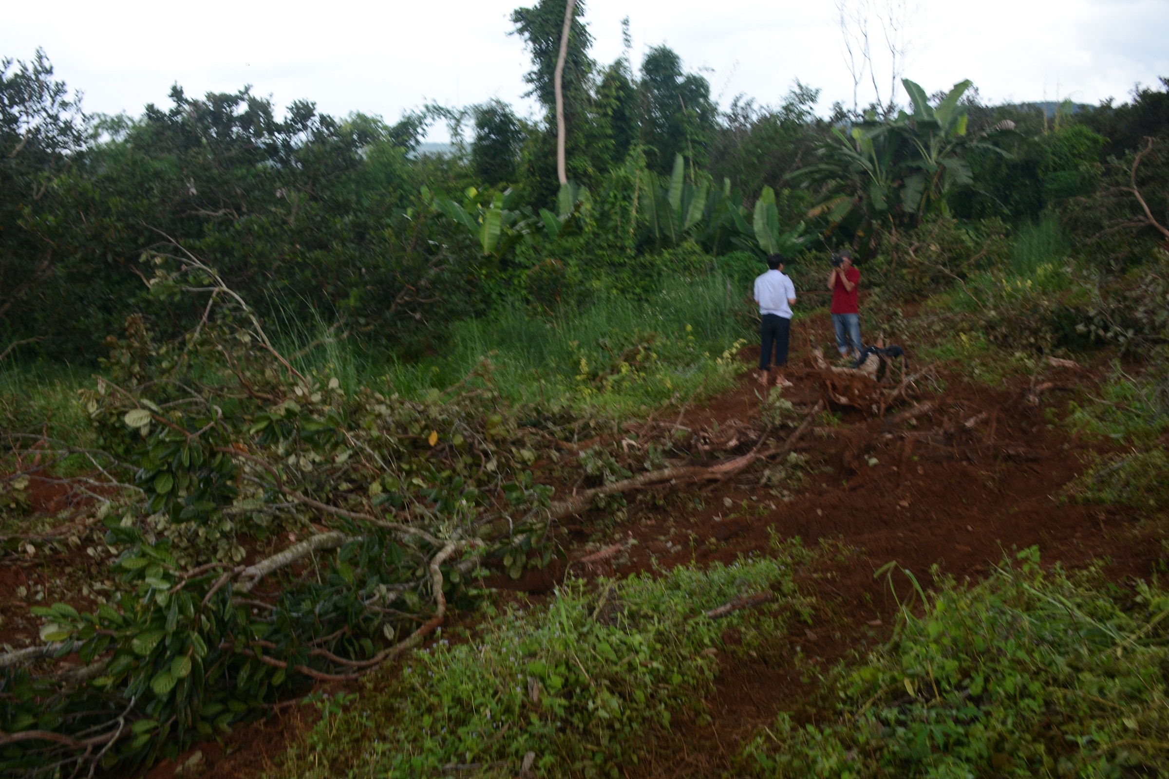 Chum anh hien truong vu ban sung anh 13