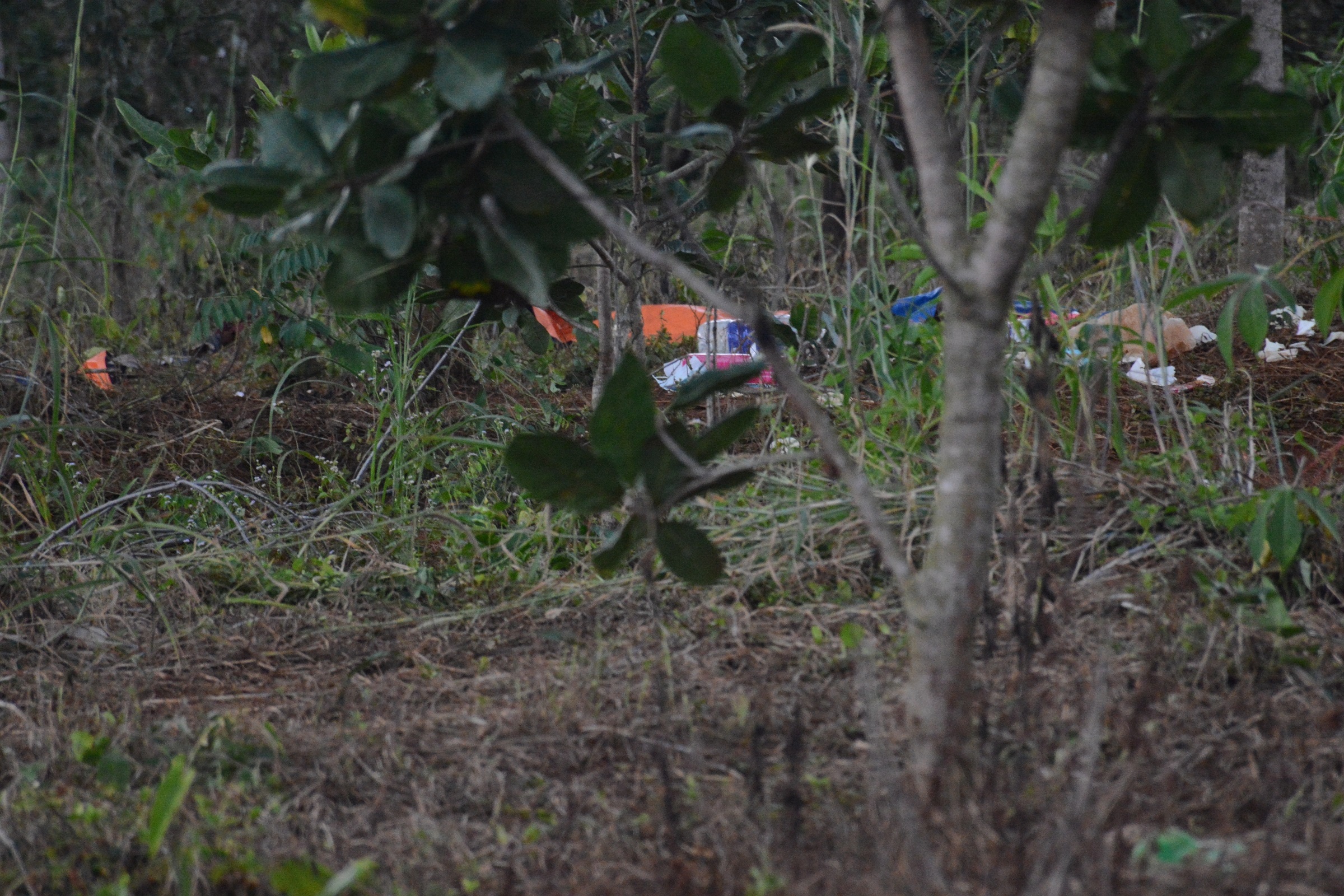 Chum anh hien truong vu ban sung anh 14