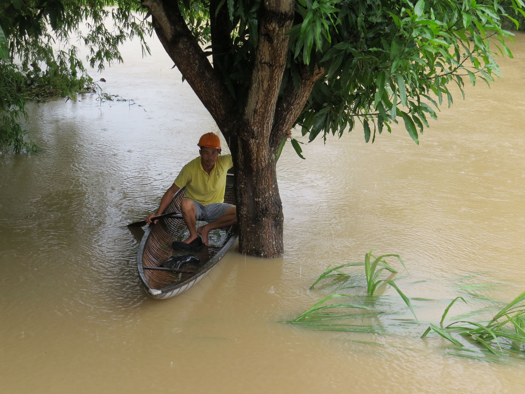 Lu cuon troi pho chu tich huyen khi di cuu ho o Phu Yen hinh anh