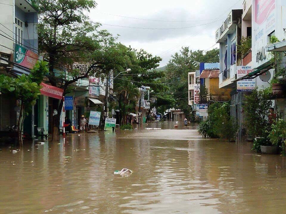 Lut lon o Phu Yen, anh 10
