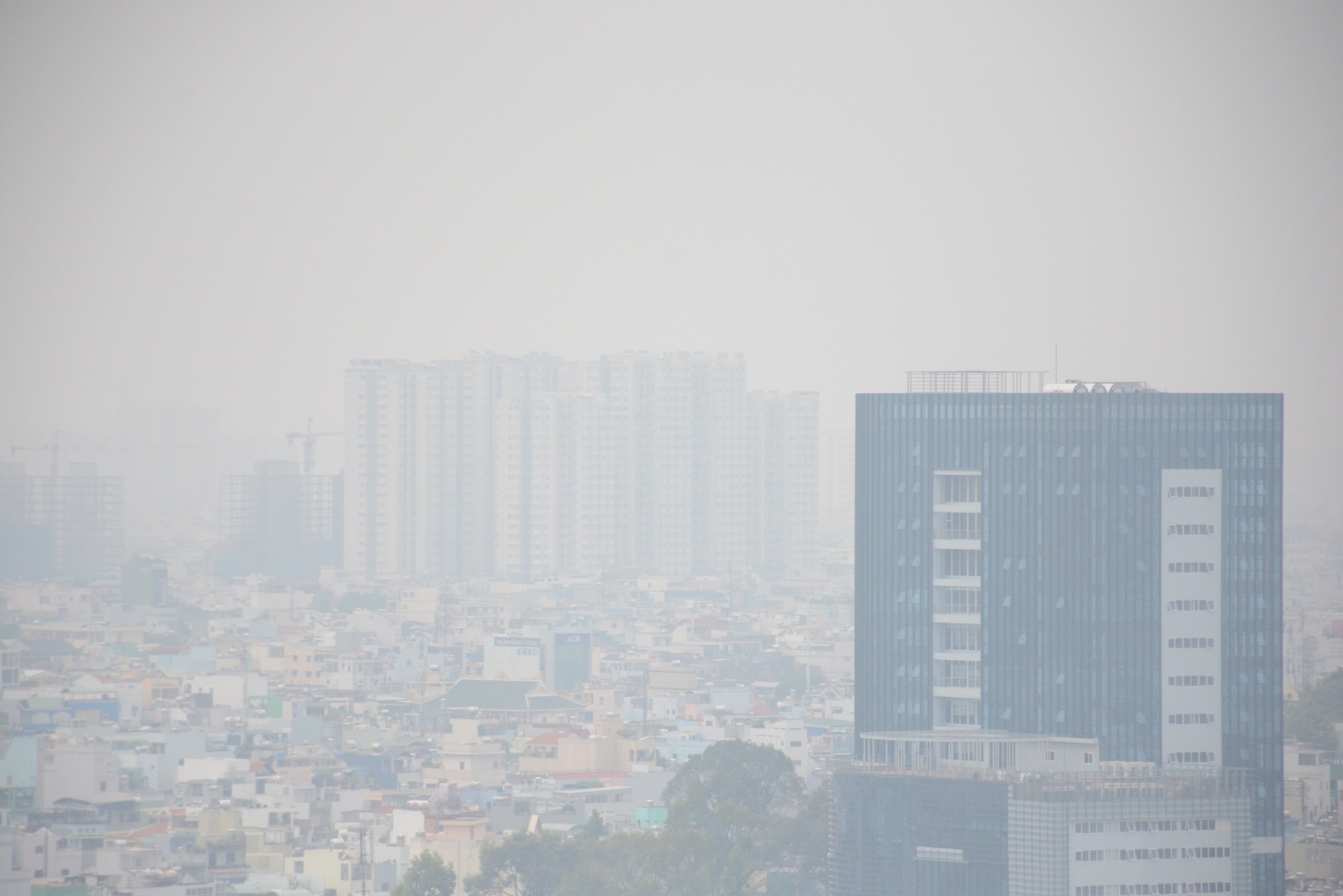 Giua trua Sai Gon van chim trong suong mu day dac hinh anh