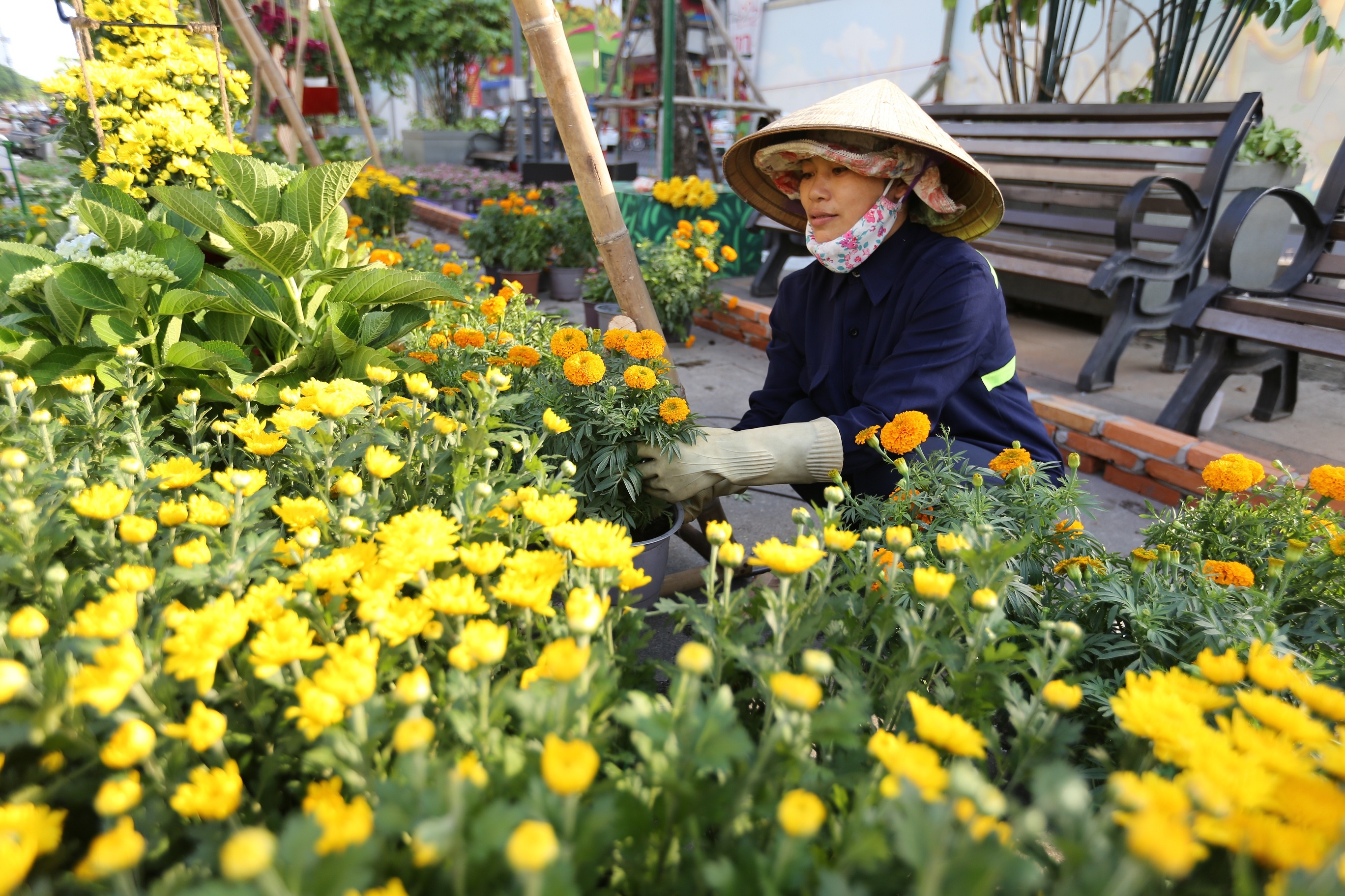 Cac diem giu xe duong hoa Nguyen Hue anh 1