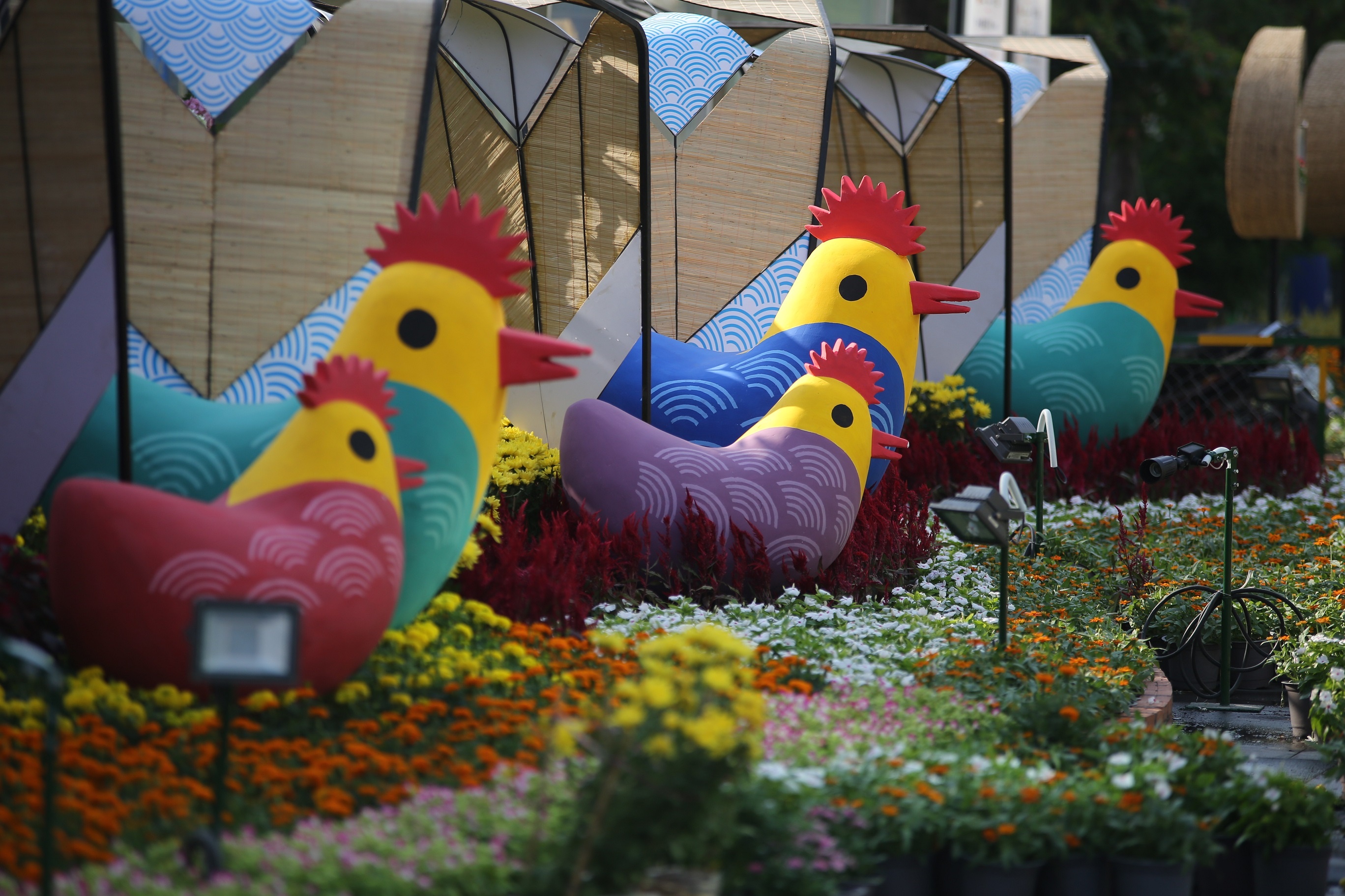 Cac diem giu xe gia re cho khach dao duong hoa Nguyen Hue hinh anh