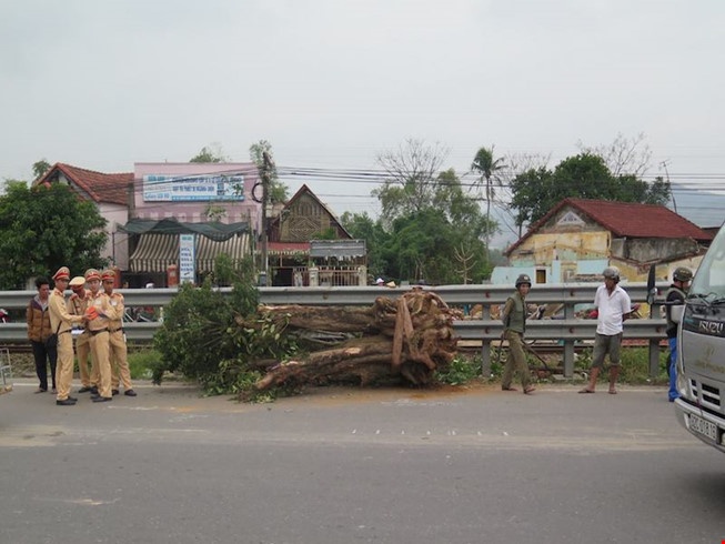 Tàu hỏa tông cần cẩu ảnh 1 Tau hoa tong can cau anh 1