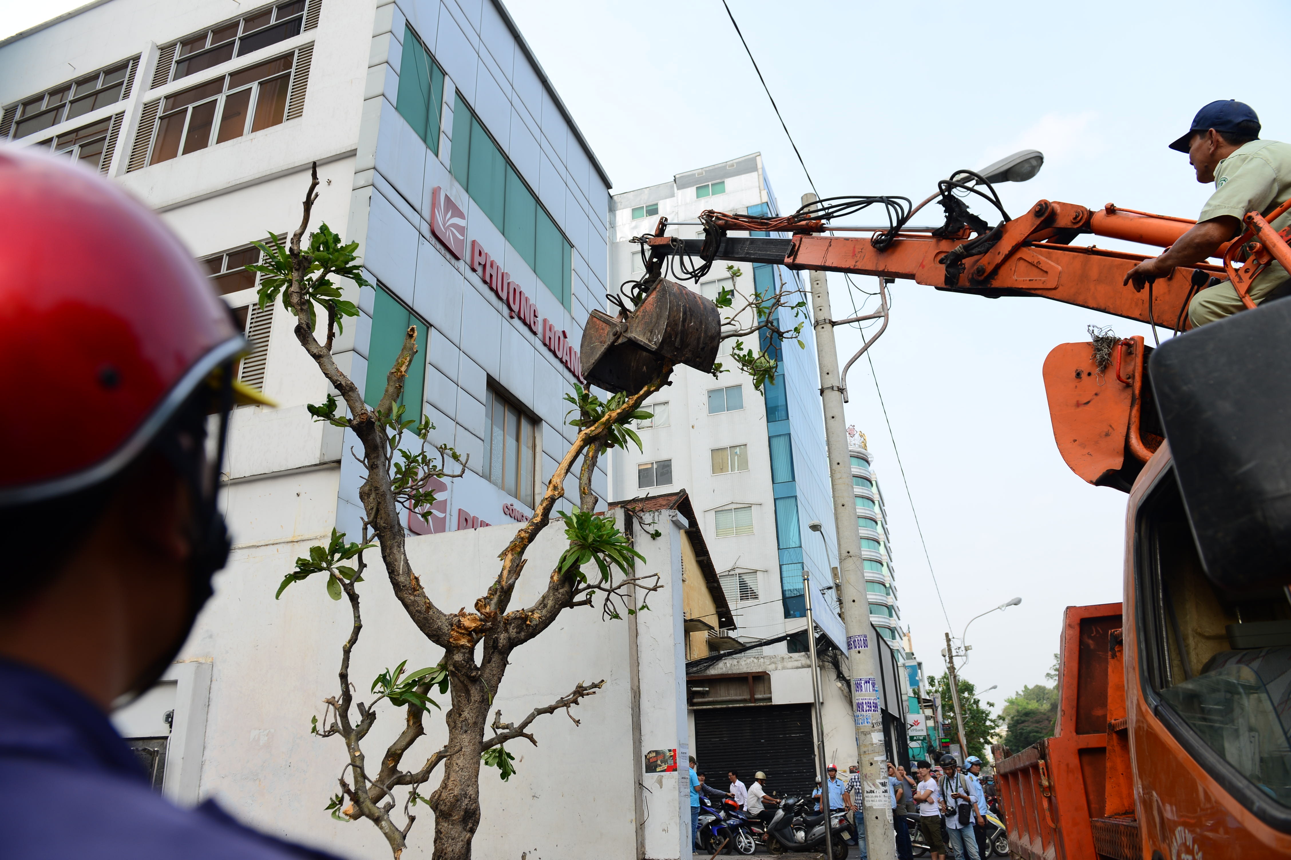 dap hang loat bo tuong anh 3