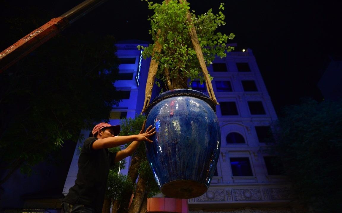 Quan 1 cau bon cay canh du chu khach san xin tu thu don hinh anh