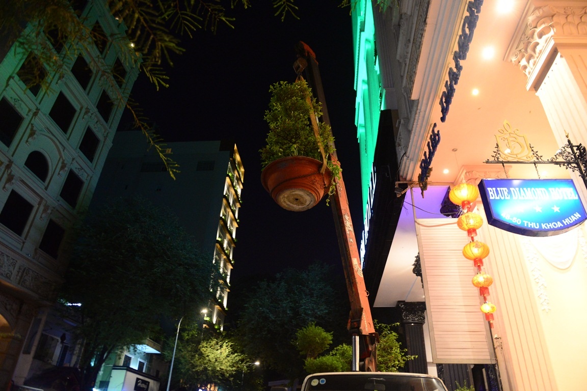 dep cay canh truoc khach san anh 7