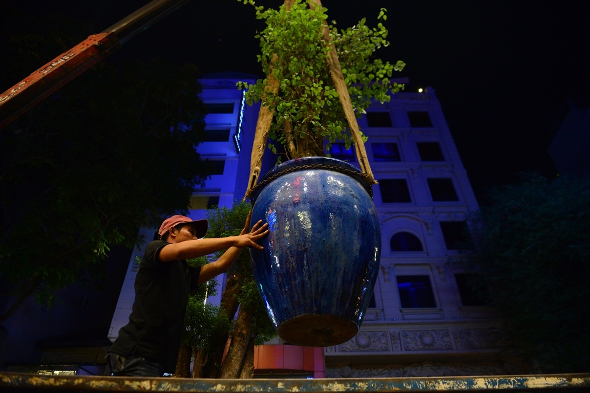 dep cay canh truoc khach san anh 5