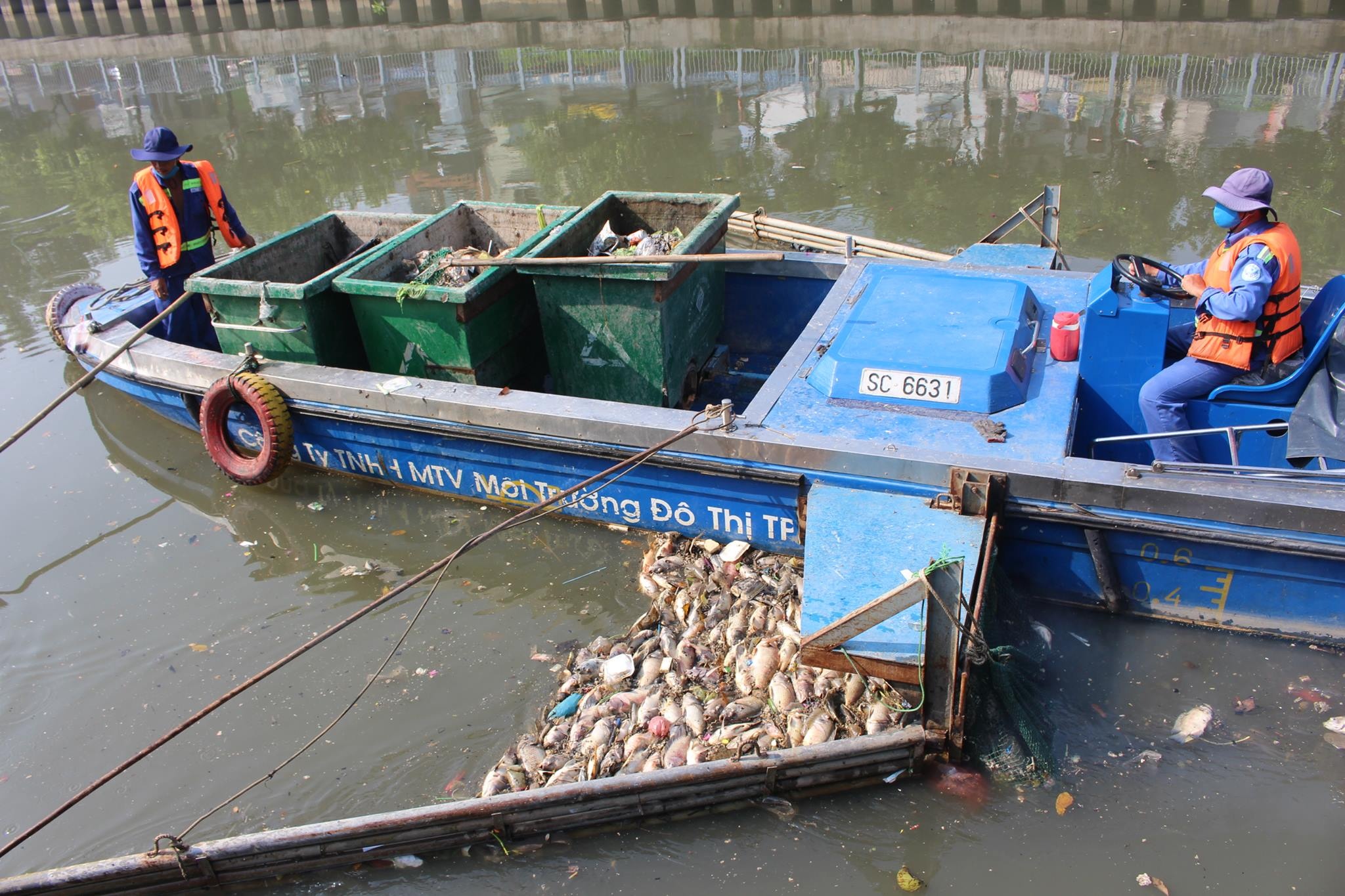 chi so moi truong anh 1