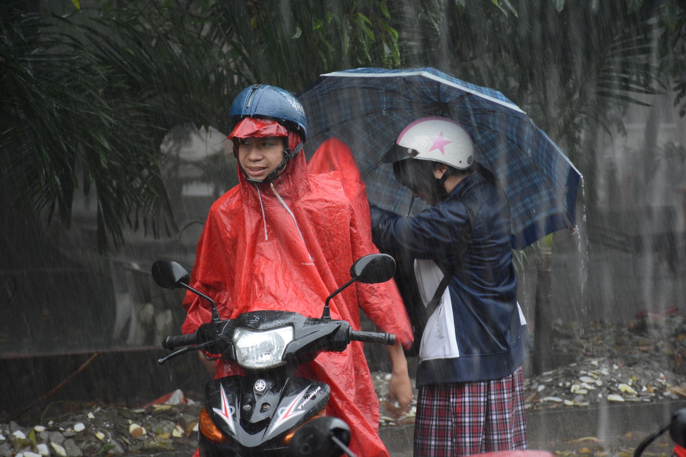 bo truong Phung Xuan Nha anh 2