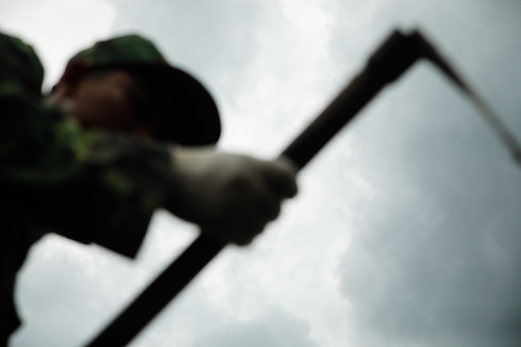 tim hai cot o Tan Son Nhat anh 10