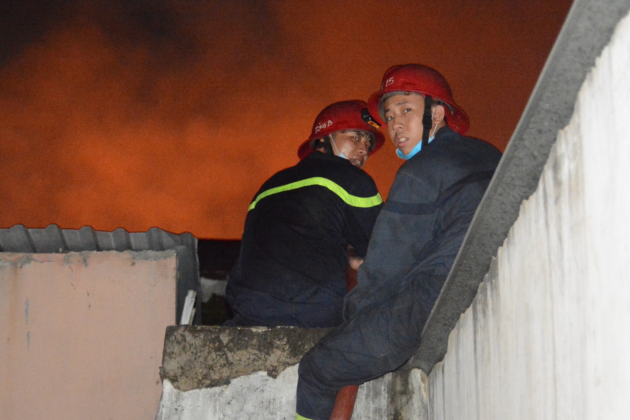 mat ngu vi chay anh 1